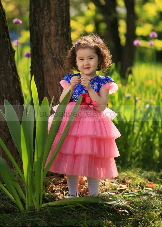 Cap Sleeves Blue Sequin Pink Tulle Tiered Flower Girl Dress